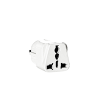 Type F power adapter